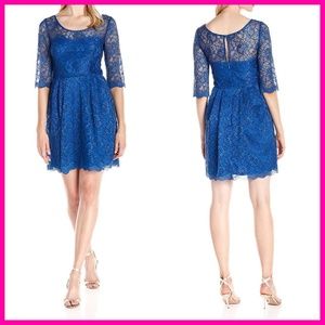 Betsey Johnson | Lace Illusion Dress | Size 12